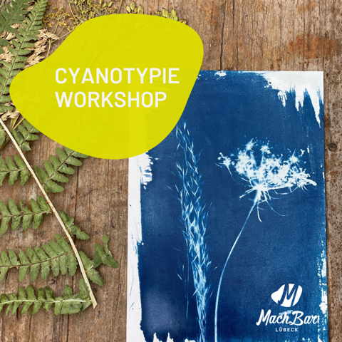 Sonnendruck – Florale Cyanotypie-Drucke mit Sonnenlicht in L