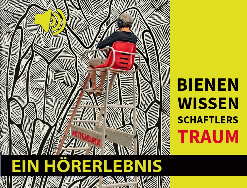 MITTENDRIN - ein Hörerlebnis