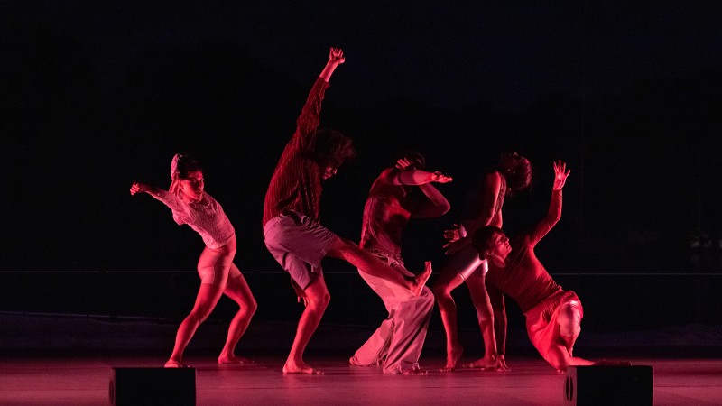 Tanz-Workshop "Experimente" | TanzOrtNord FESTIVAL