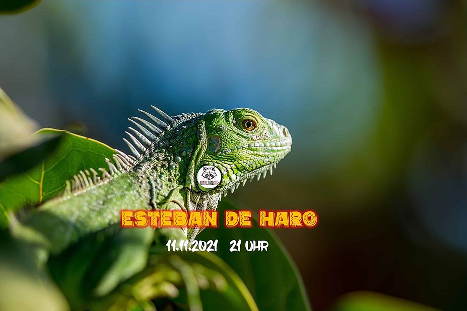 There is always a reason to... #44 mit Esteban De Haro