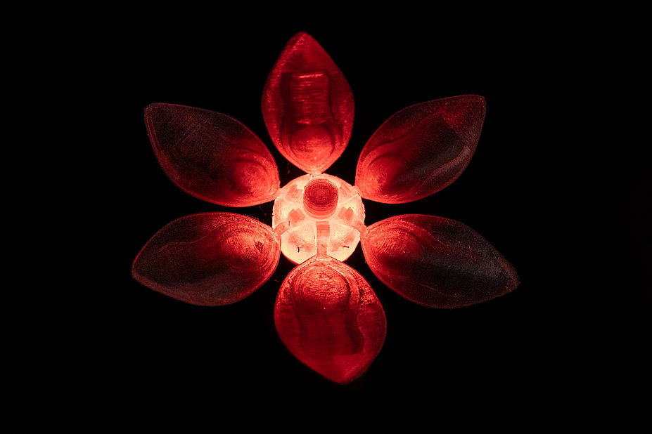 Stromblüte / Electric Flower