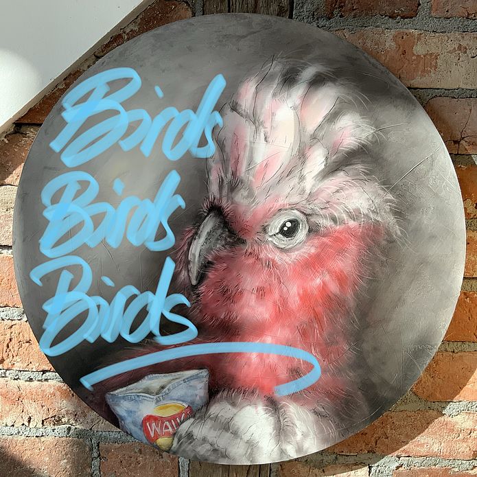 They call us Birds . Part 2
