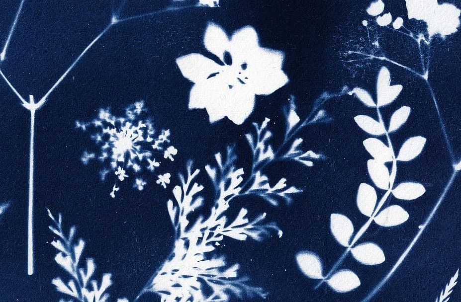 Cyanotypie auf Stoff