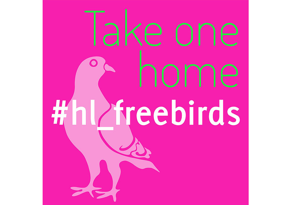 #hl_freebirds
